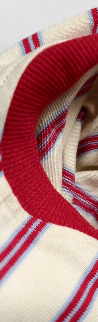 PREORDER The Everyday Stripe Crewneck